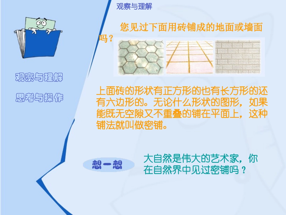 奇妙的图形密铺课件_第2页