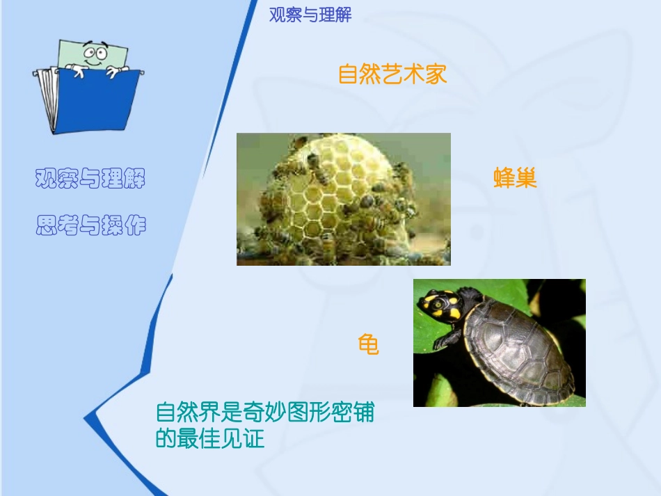 奇妙的图形密铺课件_第3页
