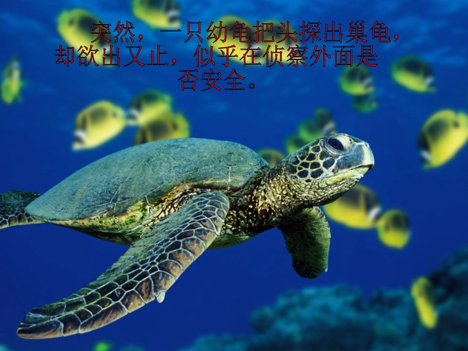 《自然之道》四年级下册_第3页