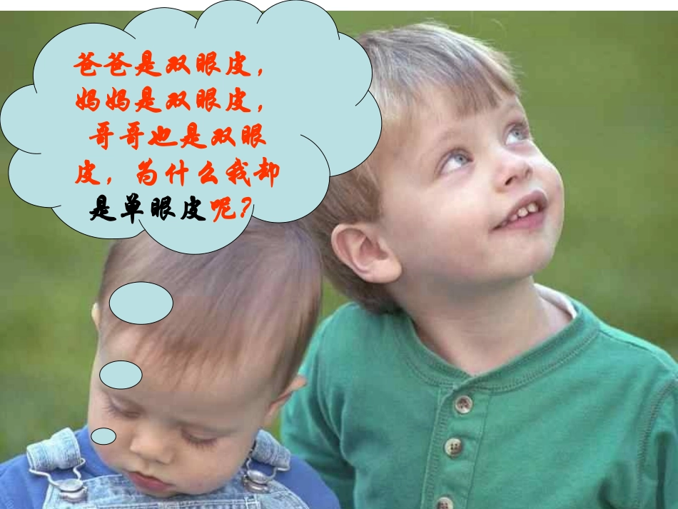 基因分离定律课件研究课_第2页