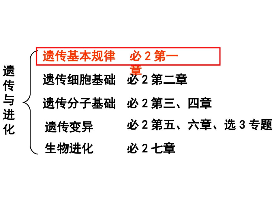 基因分离定律课件研究课_第3页