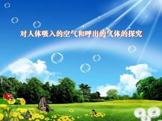 对人体吸入的空气和呼出的气体的探究课件