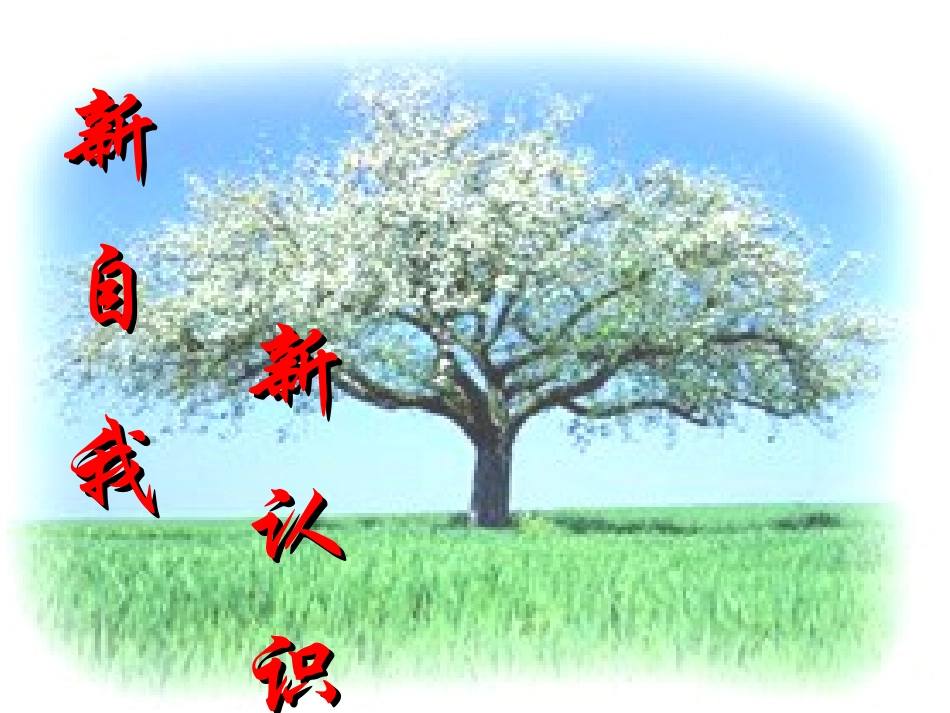 新自我新认识用_第1页