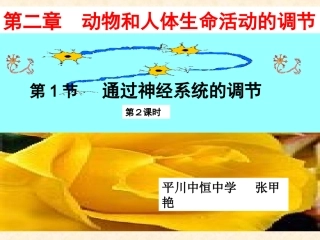 通过神经系统的调节