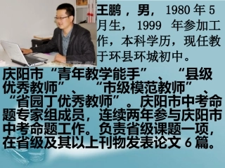 王鹏初中化学习题教学及案例分析