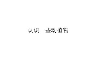 认识一些动植物（吴君）