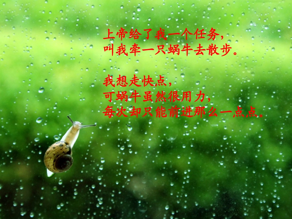 有一种教育叫做等待[1]_第2页