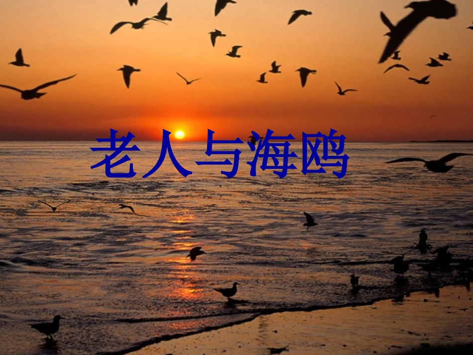老人与海鸥 (3)_第1页