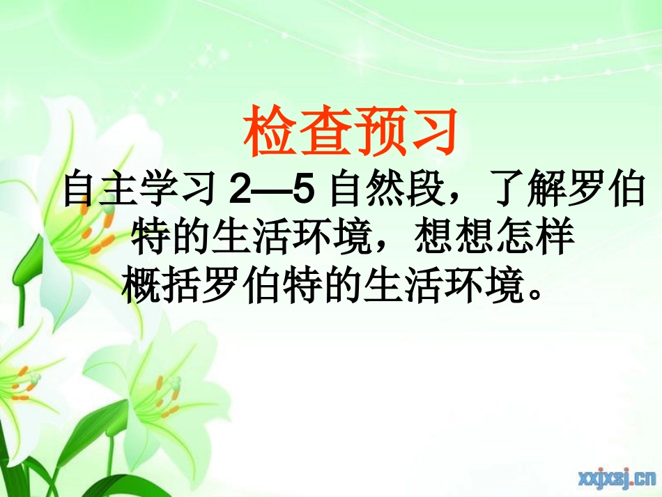 《黑孩子罗伯特》课件(1)_第3页