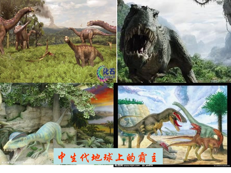 自己的事情自己做_第1页