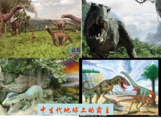自己的事情自己做