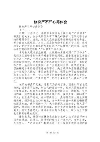 修身严不严心得体会