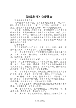 《违章指挥》心得体会