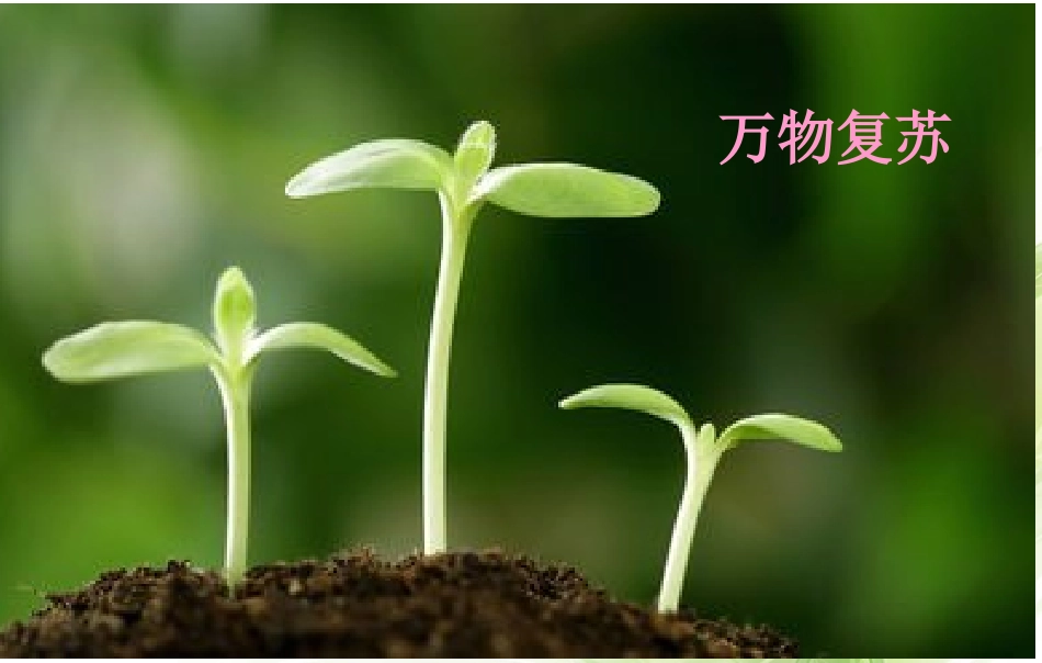 大自然的语言 (3)_第1页