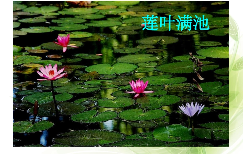 大自然的语言 (3)_第2页