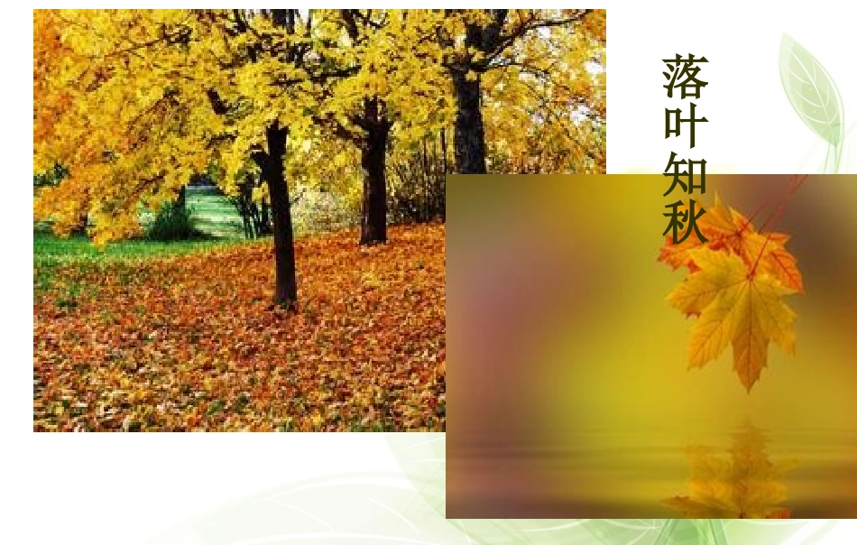 大自然的语言 (3)_第3页