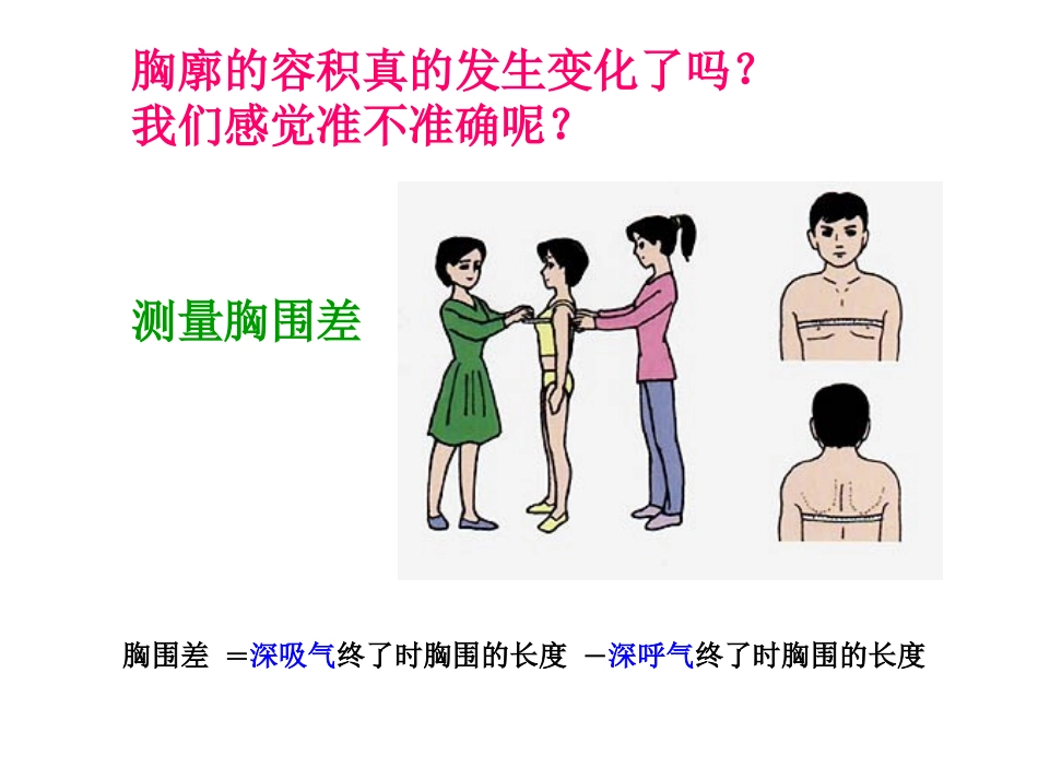 人教版七年级下册生物（新）第三章人体的呼吸第二节《发生在肺内的气体交换》参考课件（共计31张PPT）_第3页