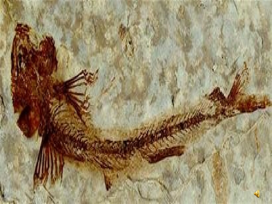 大自然的文字课件_第2页