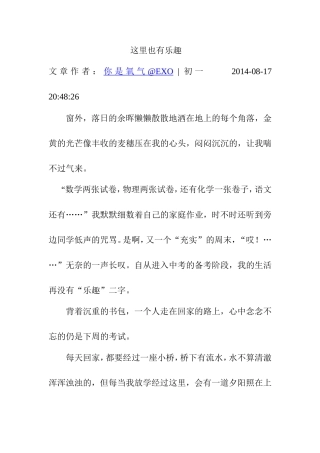 这里也有乐趣