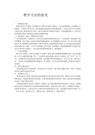 教学方法的意见