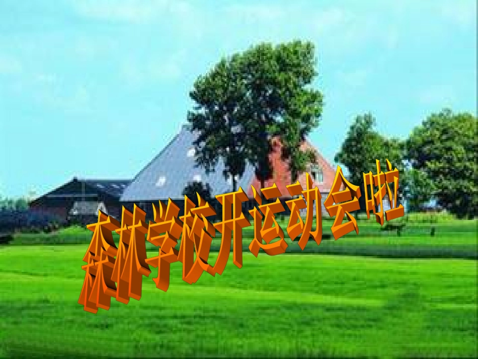 找规律李秀玲_第2页