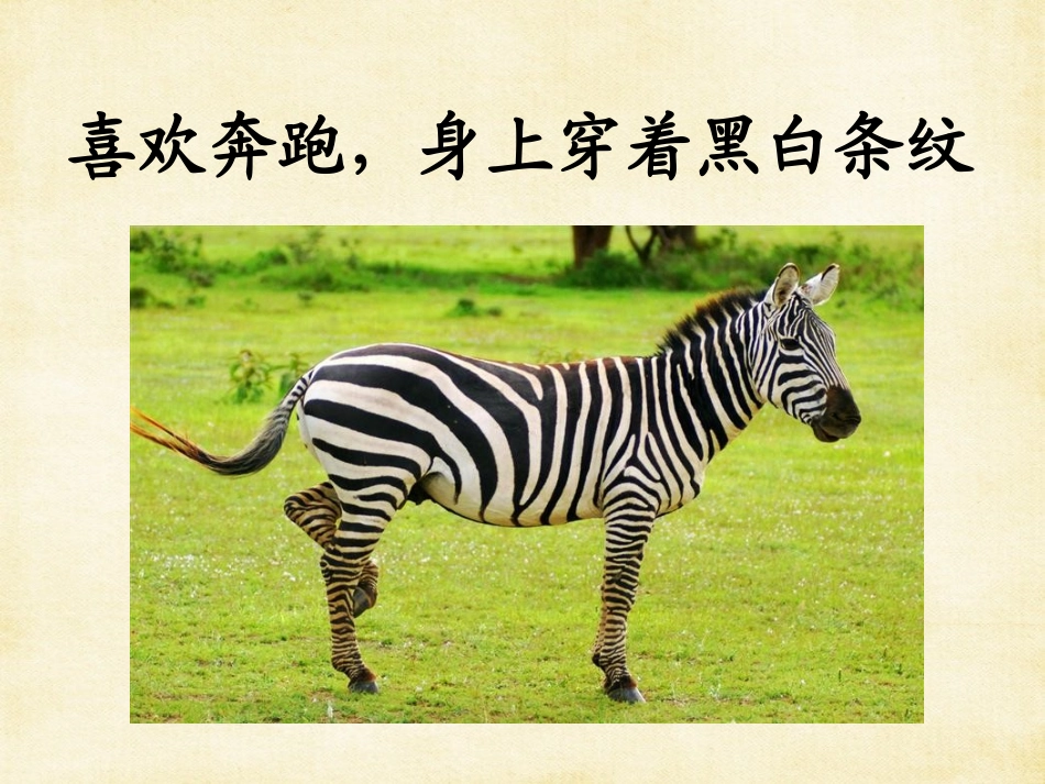 《美丽的丹顶鹤》第一课时_第2页