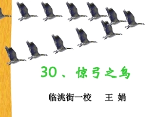 惊弓之鸟PPT课件