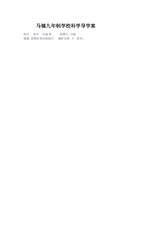 食物在体内的旅行