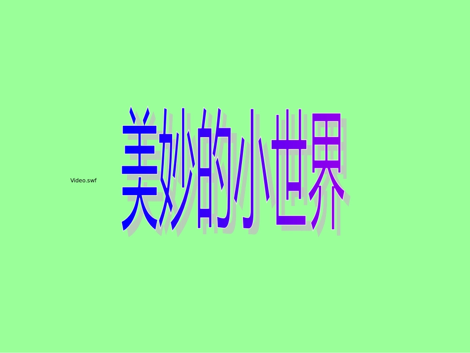 美妙的小世界_第1页