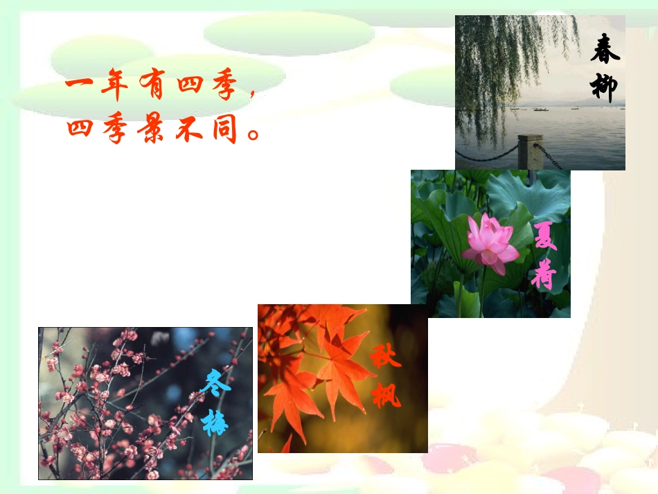 《大自然的语言》课件1_第1页