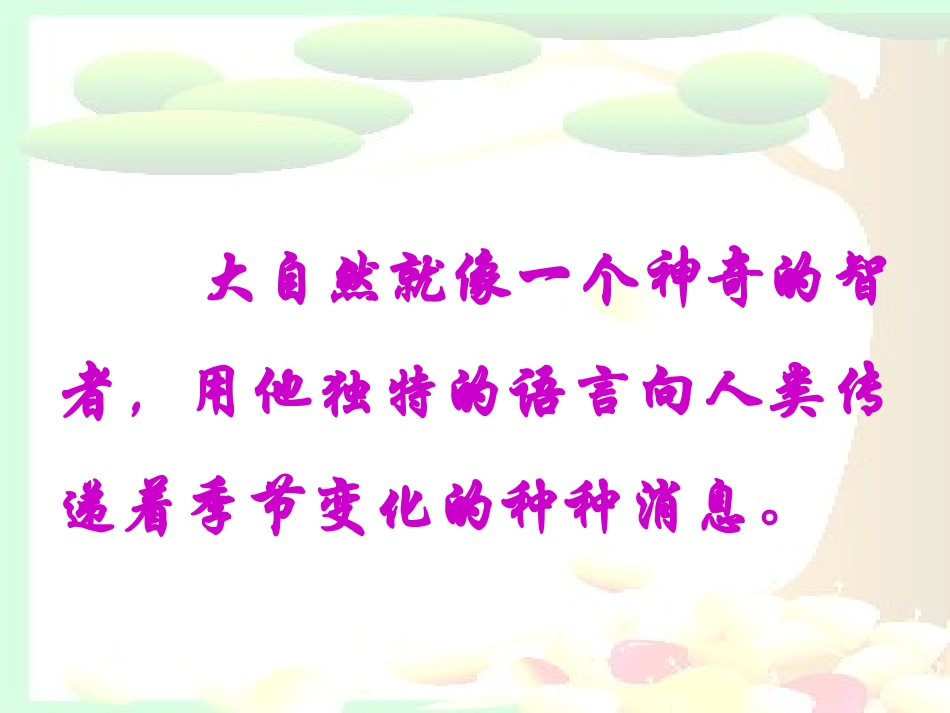 《大自然的语言》课件1_第2页