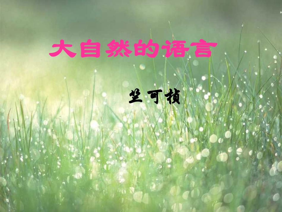 《大自然的语言》课件1_第3页