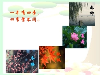 《大自然的语言》课件1