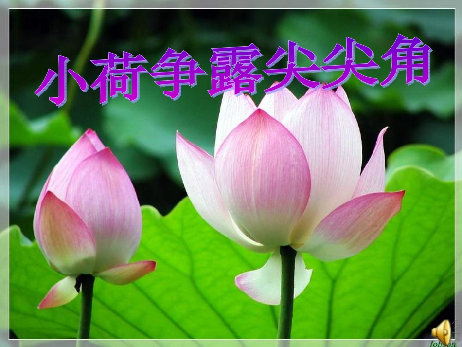 【精品课件】第四单元第一节小荷争露尖尖角_第1页