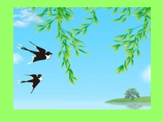 燕子专列课件