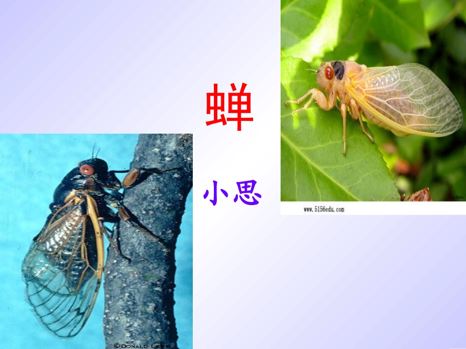 短文两篇 (2)_第2页
