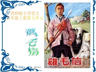 西师版五年级上册语文第20课《鸡毛信》课件PPT