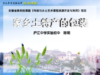 家乡土特产的包装