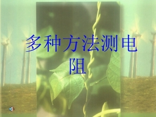 多种方法测电阻(第二课时)
