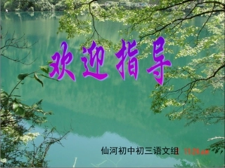 事物的正确答案不止一个(优质课)