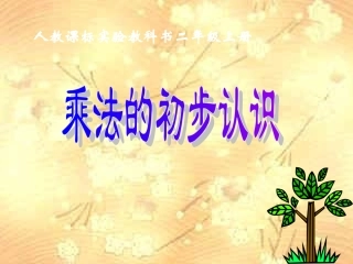 乘法的初步认识第二课时