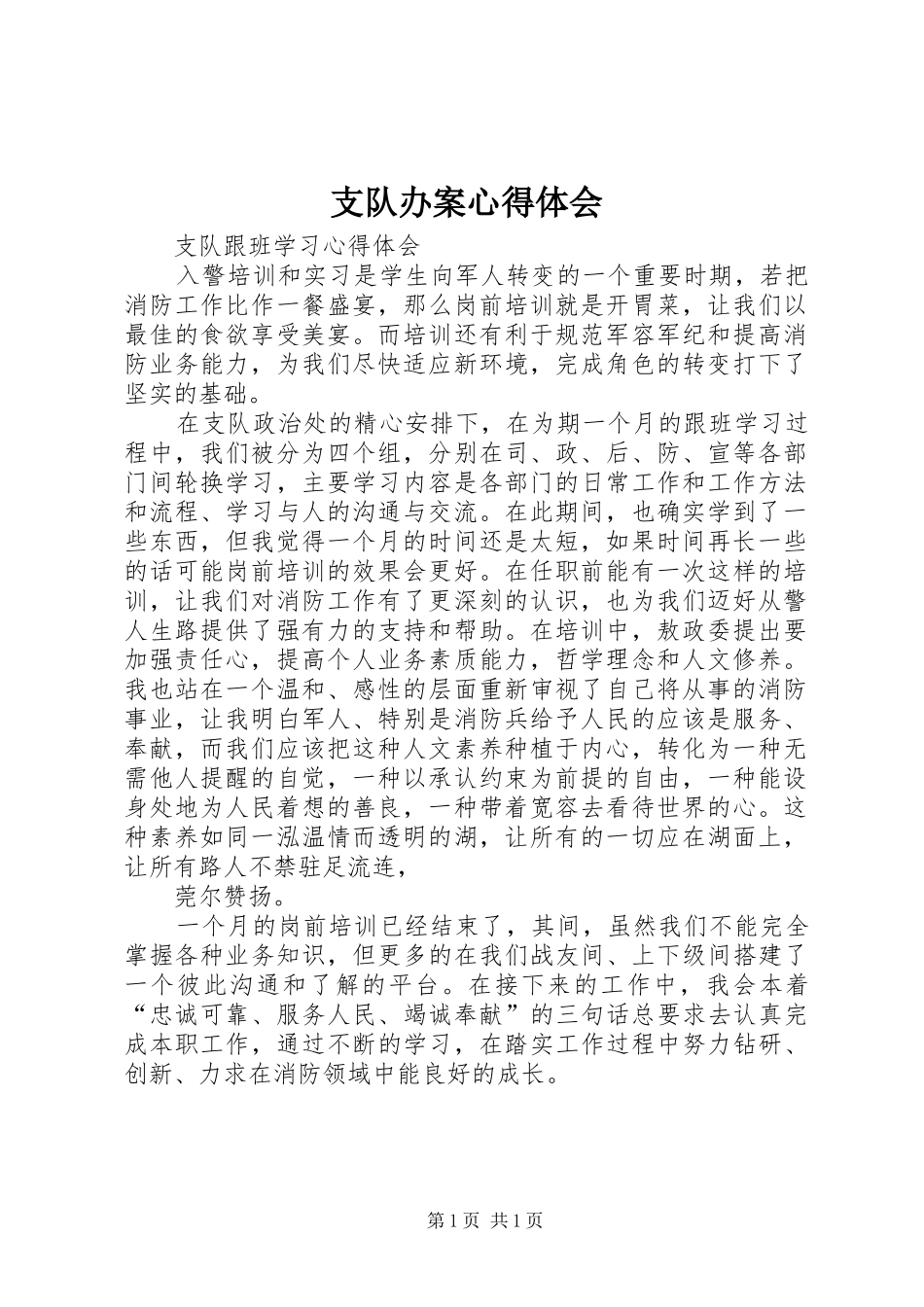 支队办案心得体会_第1页