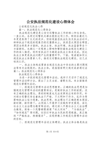 公安执法规范化建设心得体会