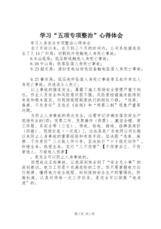 学习“五项专项整治”心得体会