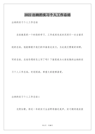 2024出纳的实习个人工作总结