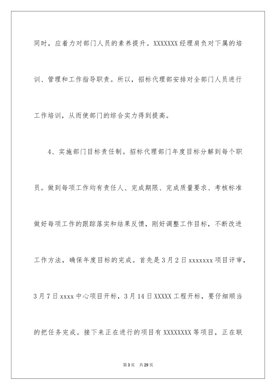 2024公司年度计划_第3页