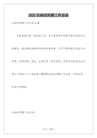 2024出纳试用期工作总结_11