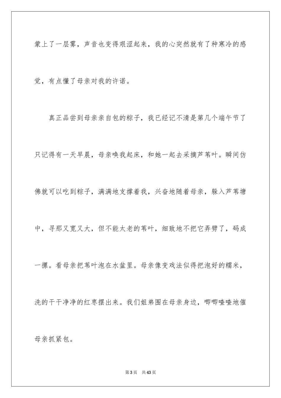 2024写端午节的作文800字_5_第3页