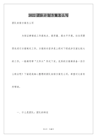 2024团队计划方案怎么写