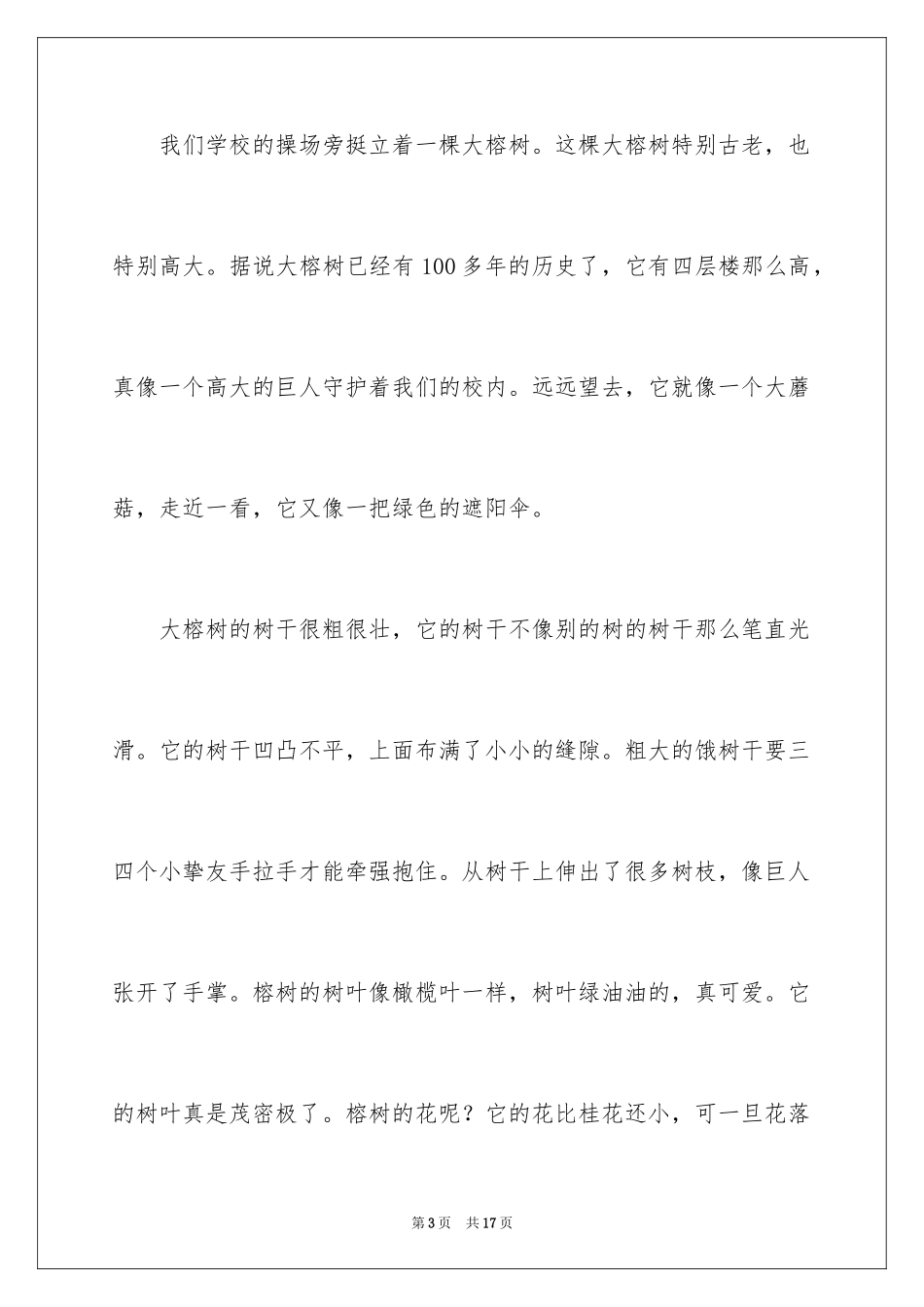 2024大榕树作文_第3页